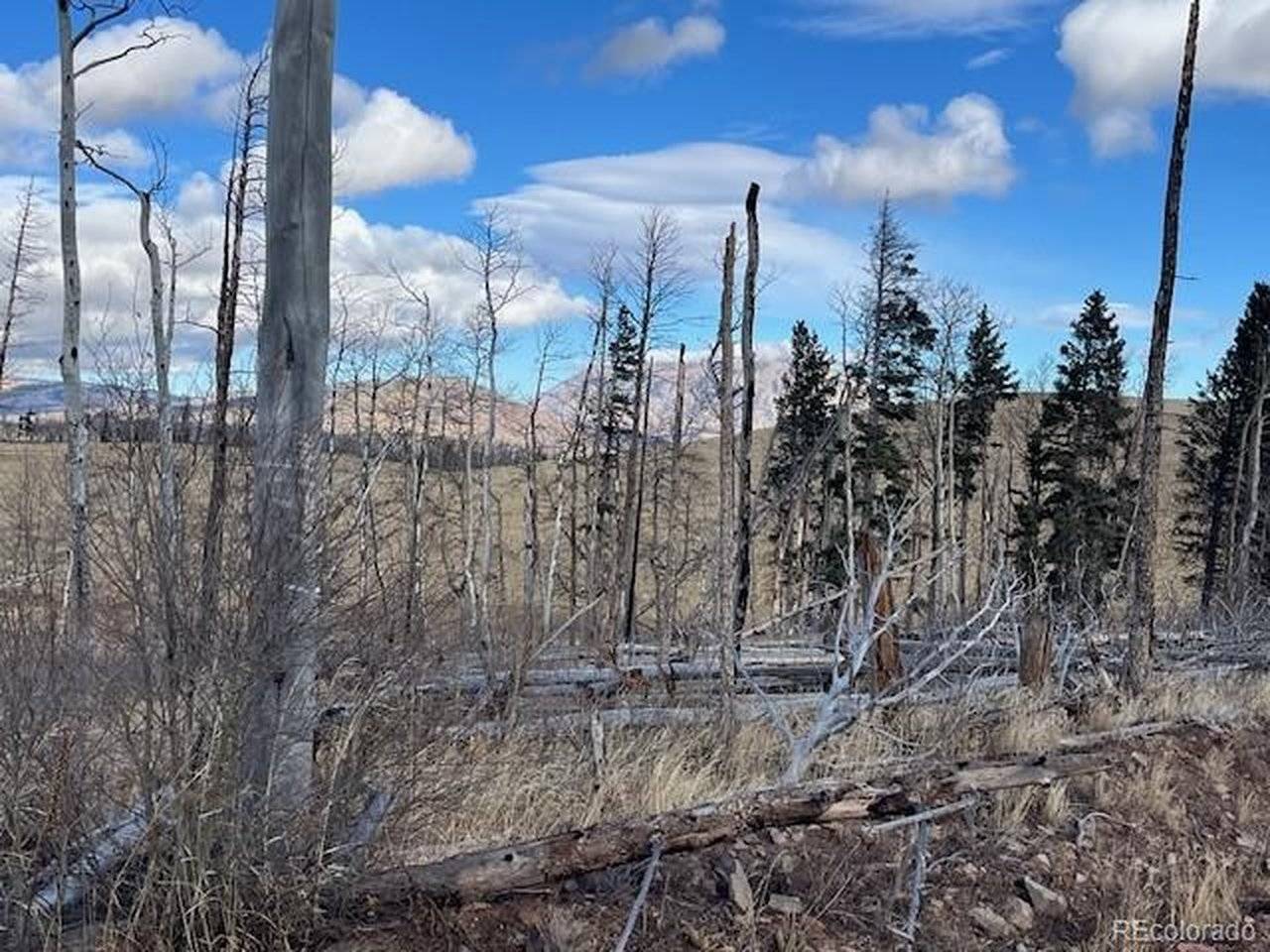 2397 Petito, Fort Garland, CO 81133