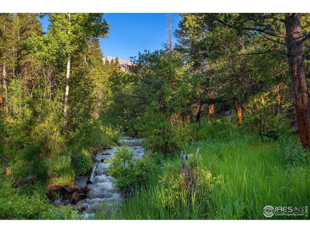 1217 Big Owl, Allenspark, CO 80510