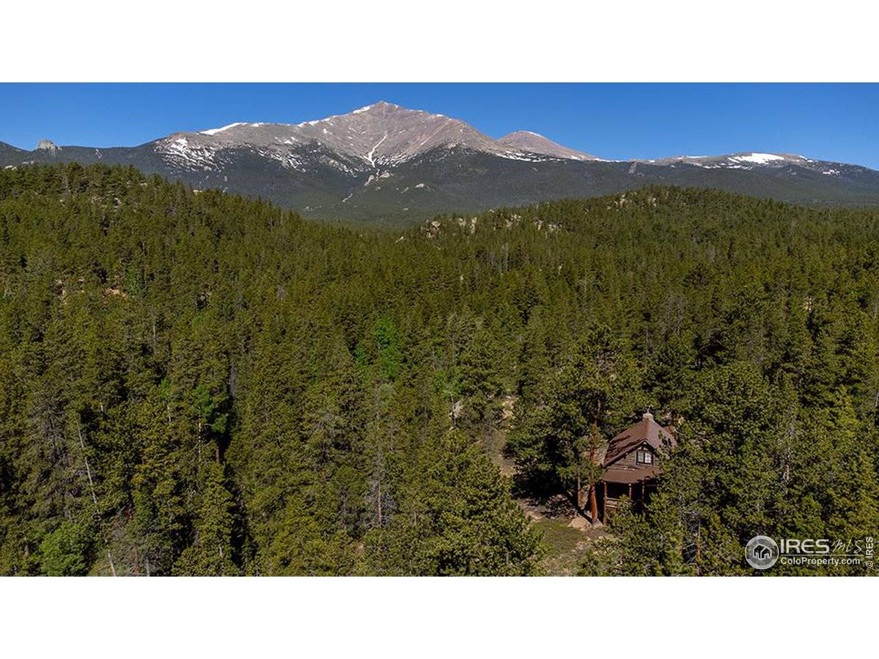 1217 Big Owl, Allenspark, CO 80510