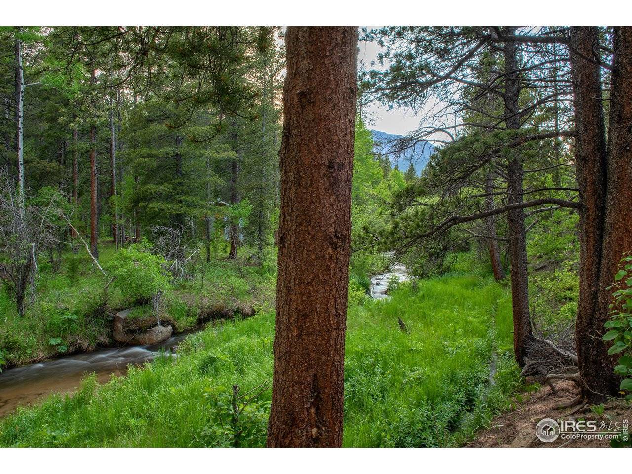 1217 Big Owl, Allenspark, CO 80510