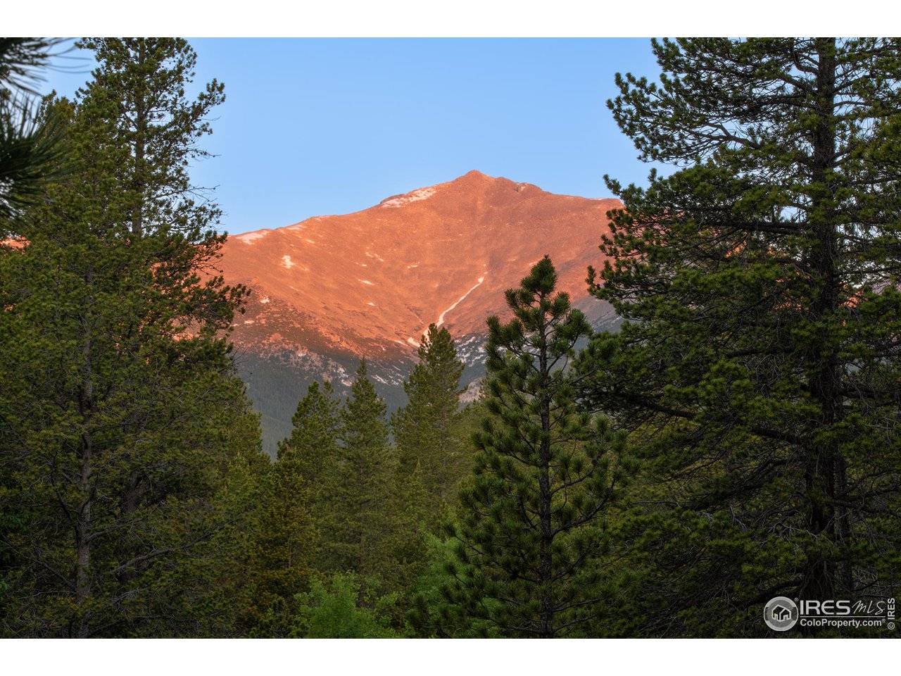1217 Big Owl, Allenspark, CO 80510