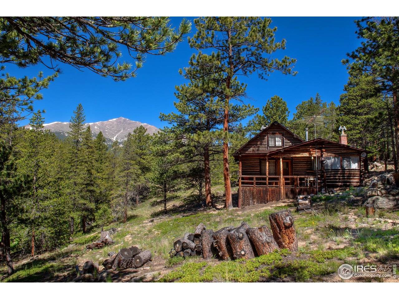 1217 Big Owl, Allenspark, CO 80510