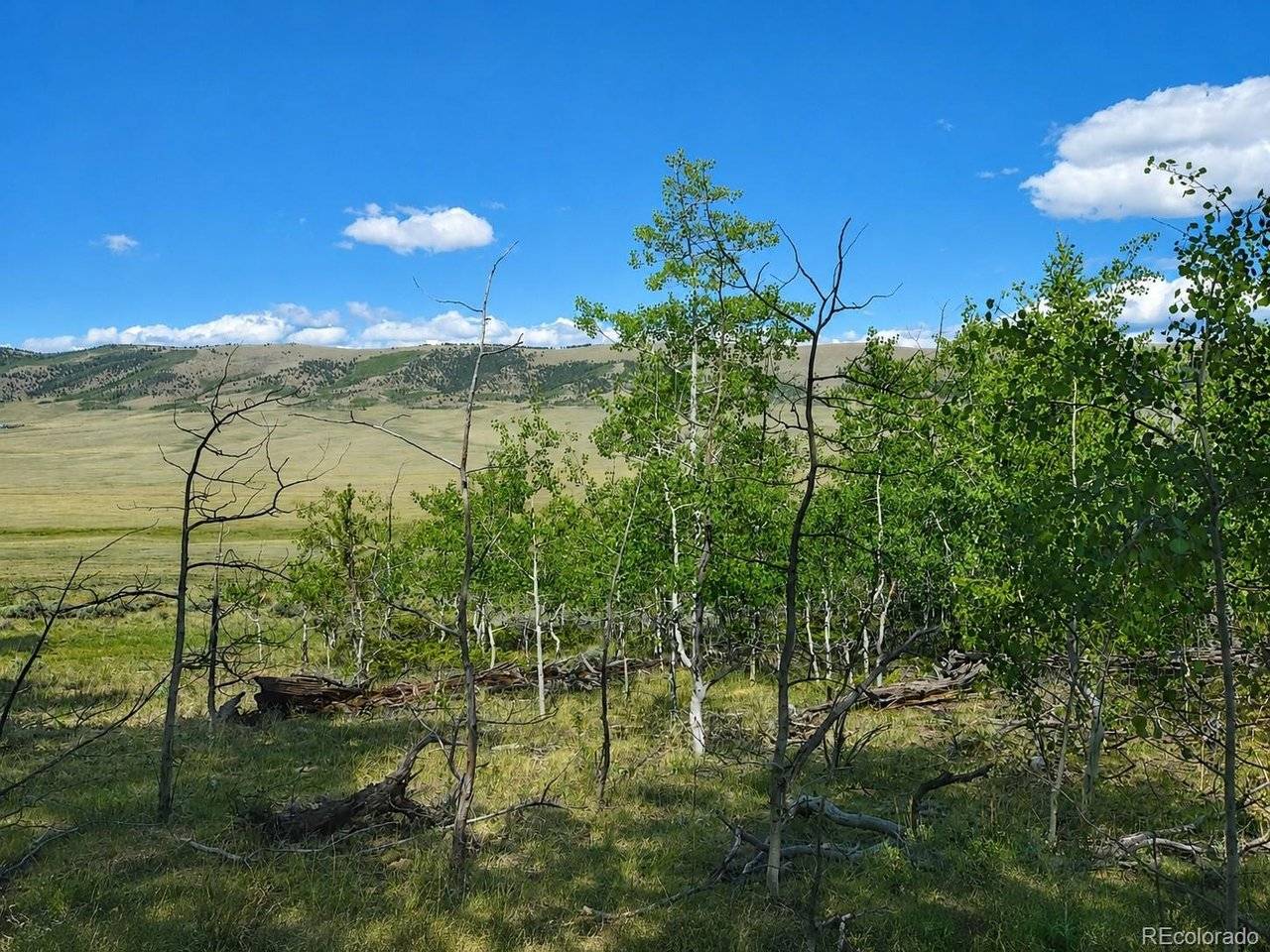 2381 Redhill, Fairplay, CO 80440