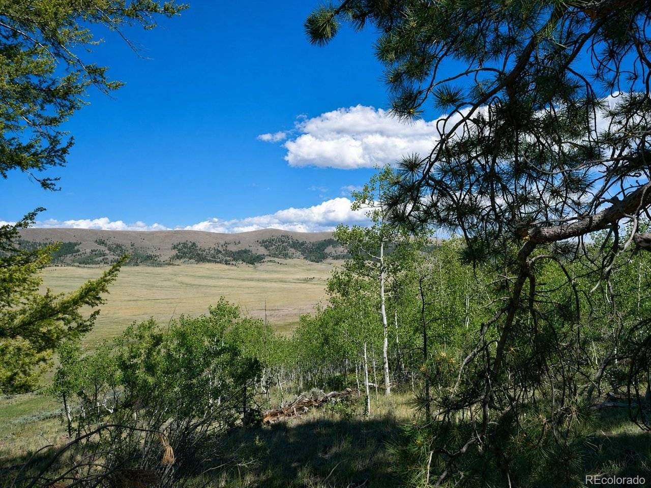 2381 Redhill, Fairplay, CO 80440