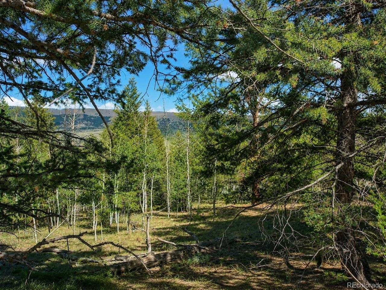 2381 Redhill, Fairplay, CO 80440