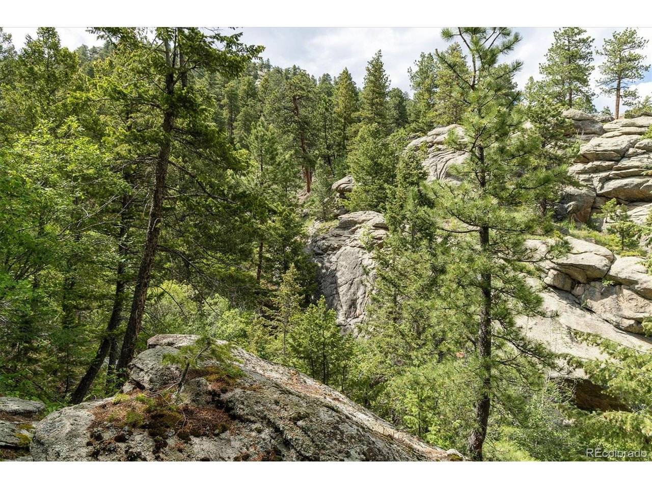 31429 Burke, Golden, CO 80403