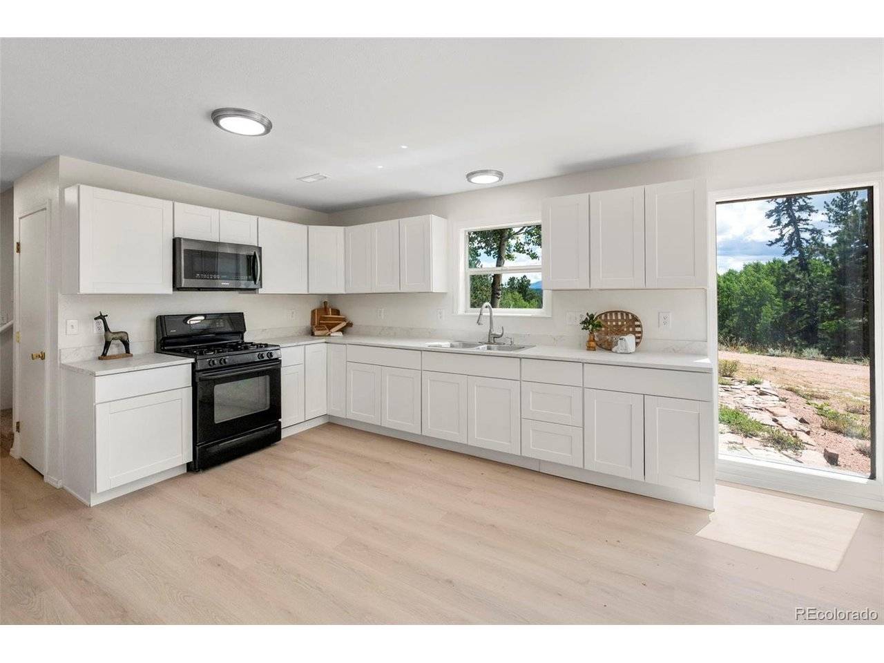 4710 Wildhorn, Florissant, CO 80816