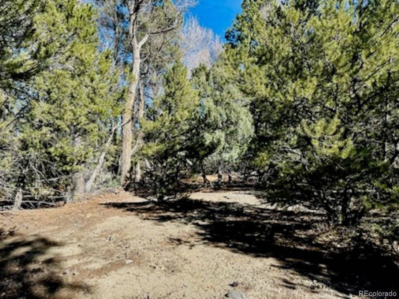 15 Lake Of The Falls, Mosca, CO 81146