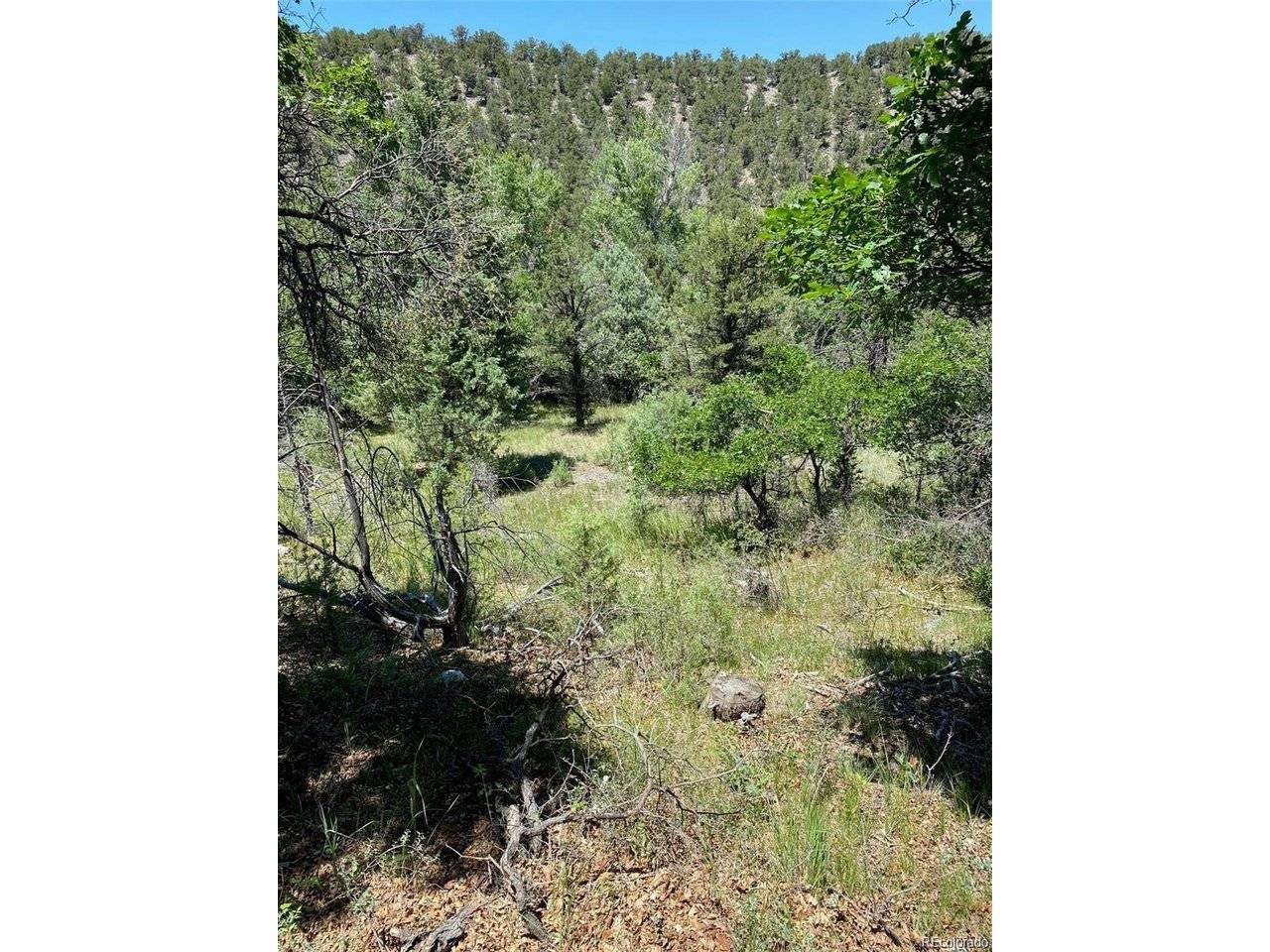 779 County Road 48, Howard, CO 81233