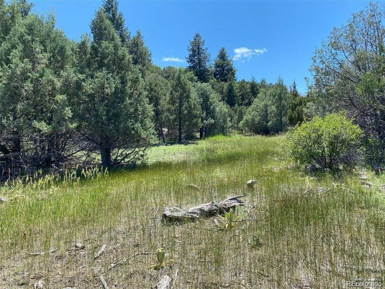 779 County Road 48, Howard, CO 81233