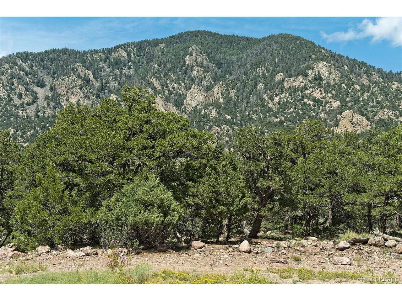 532 N Hillcrest Ol, Crestone, CO 81131