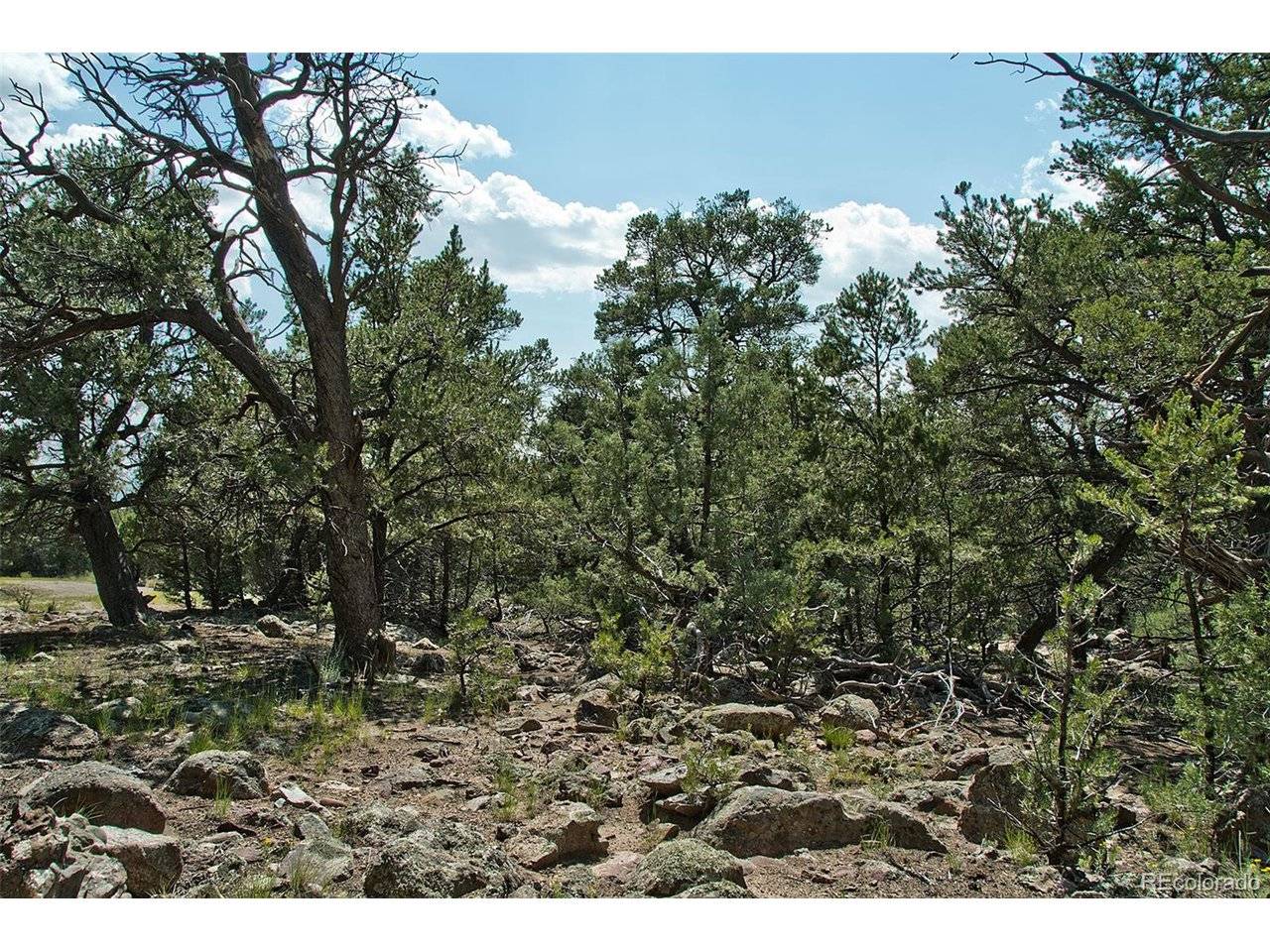 532 N Hillcrest Ol, Crestone, CO 81131