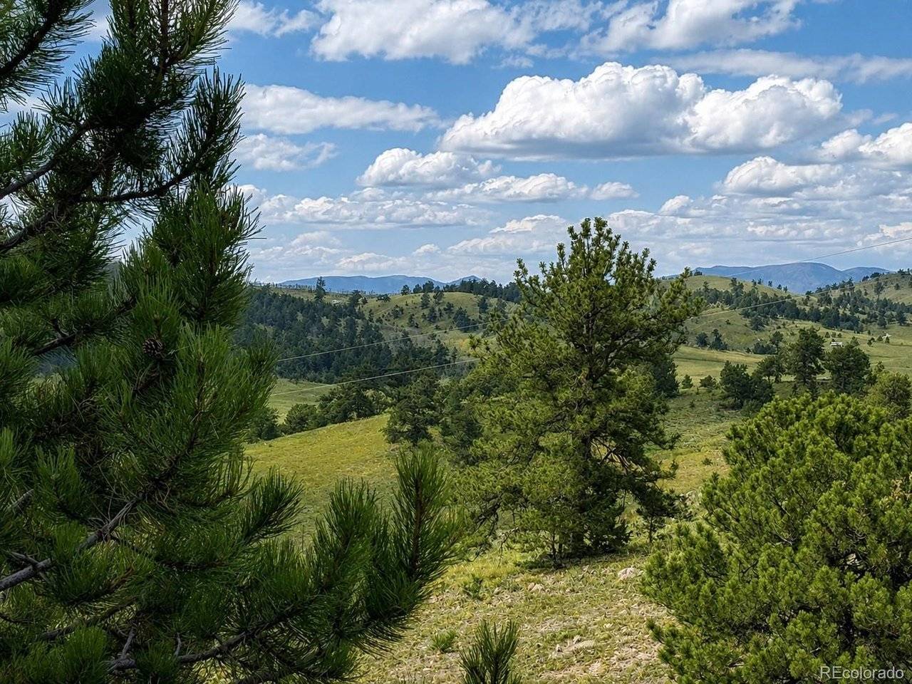 115 Black Canyon, Hartsel, CO 80449