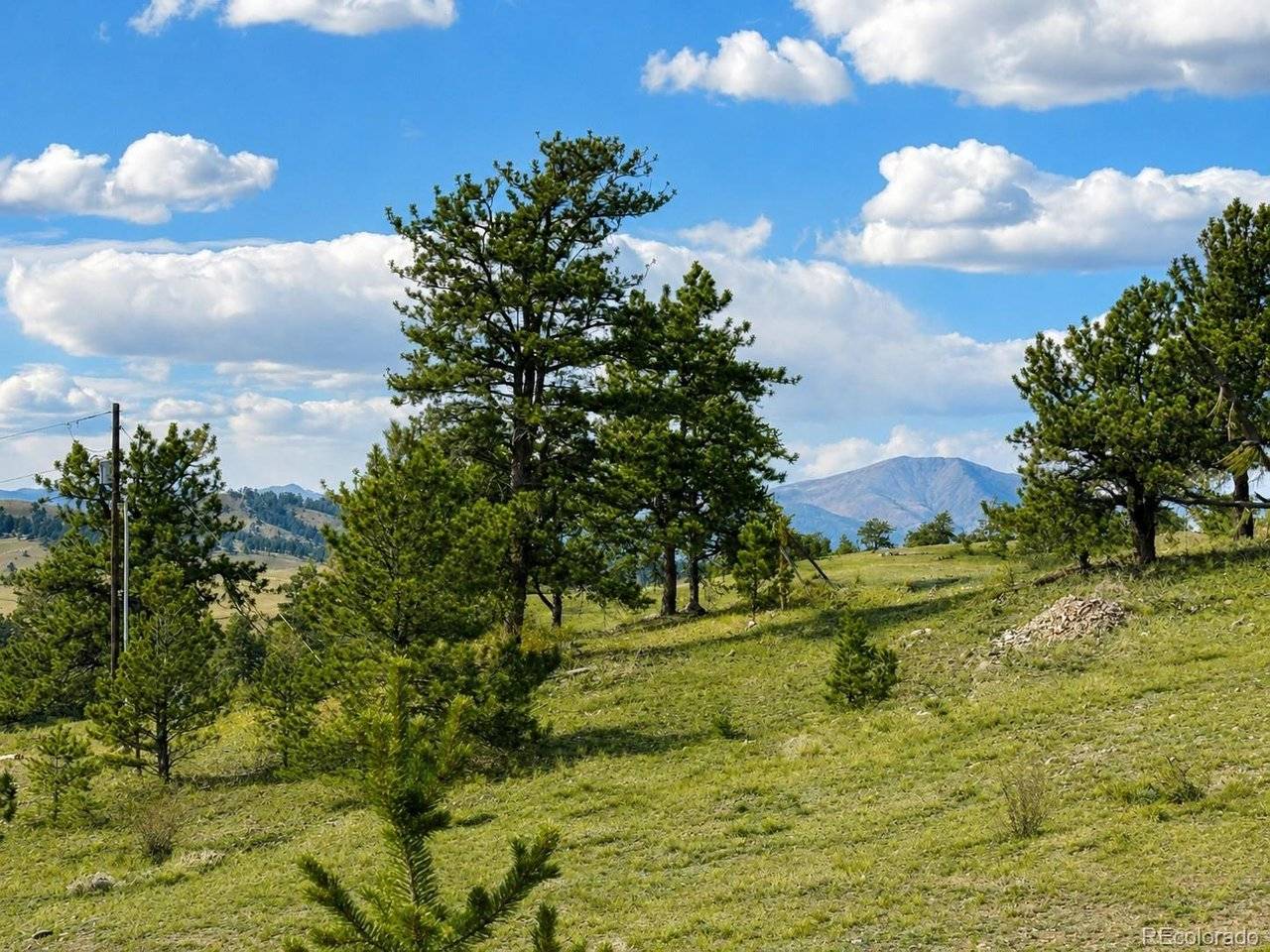 115 Black Canyon, Hartsel, CO 80449