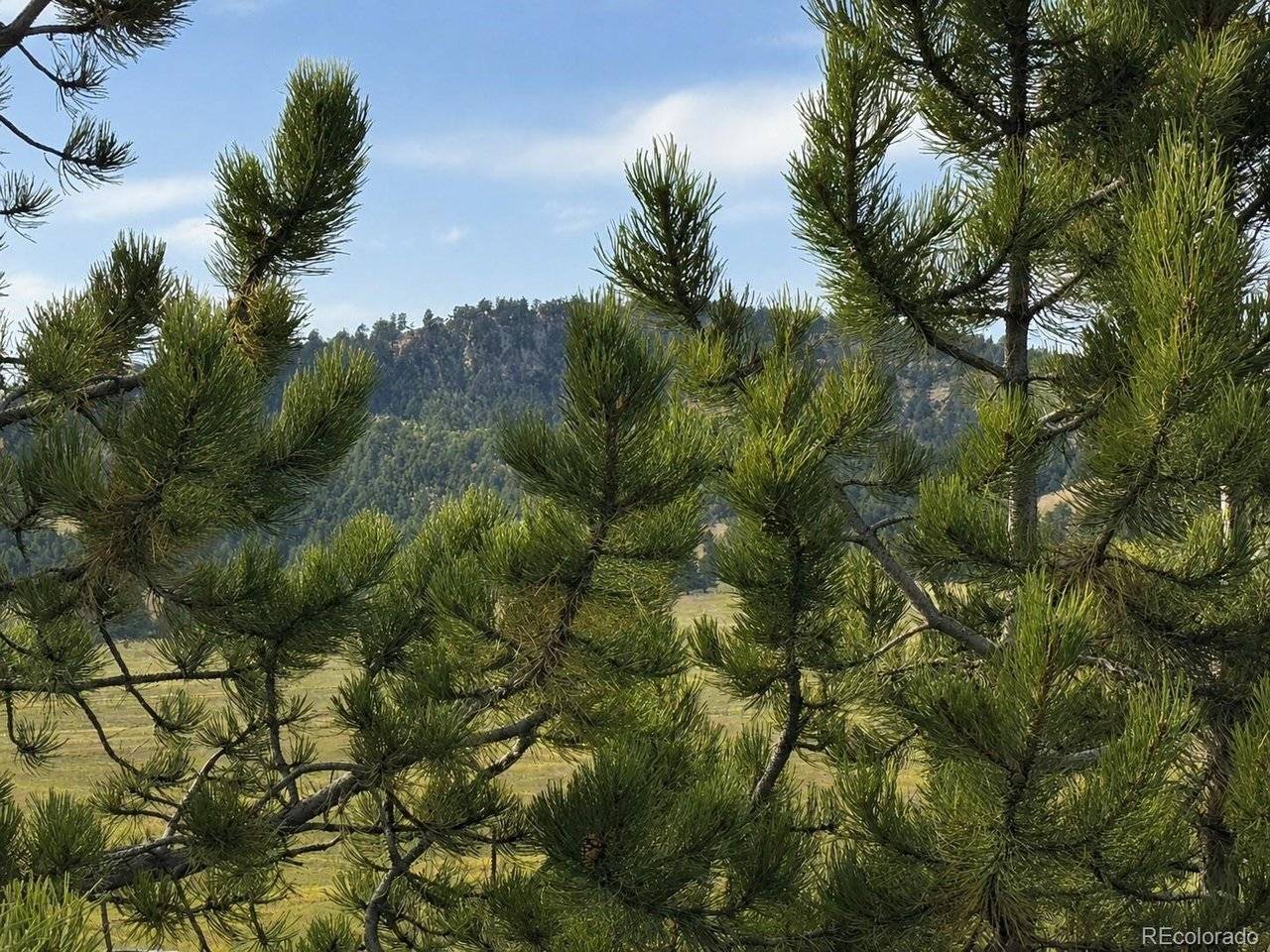 115 Black Canyon, Hartsel, CO 80449