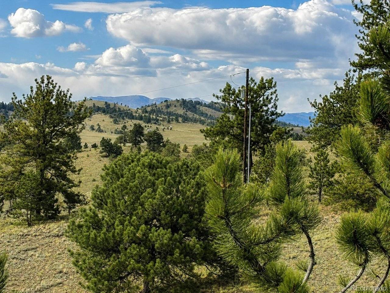 115 Black Canyon, Hartsel, CO 80449