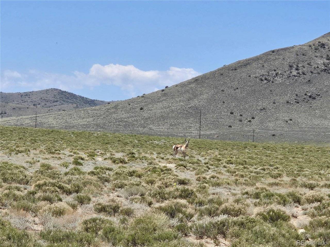 11th Street Lot 6, Blanca, CO 81133