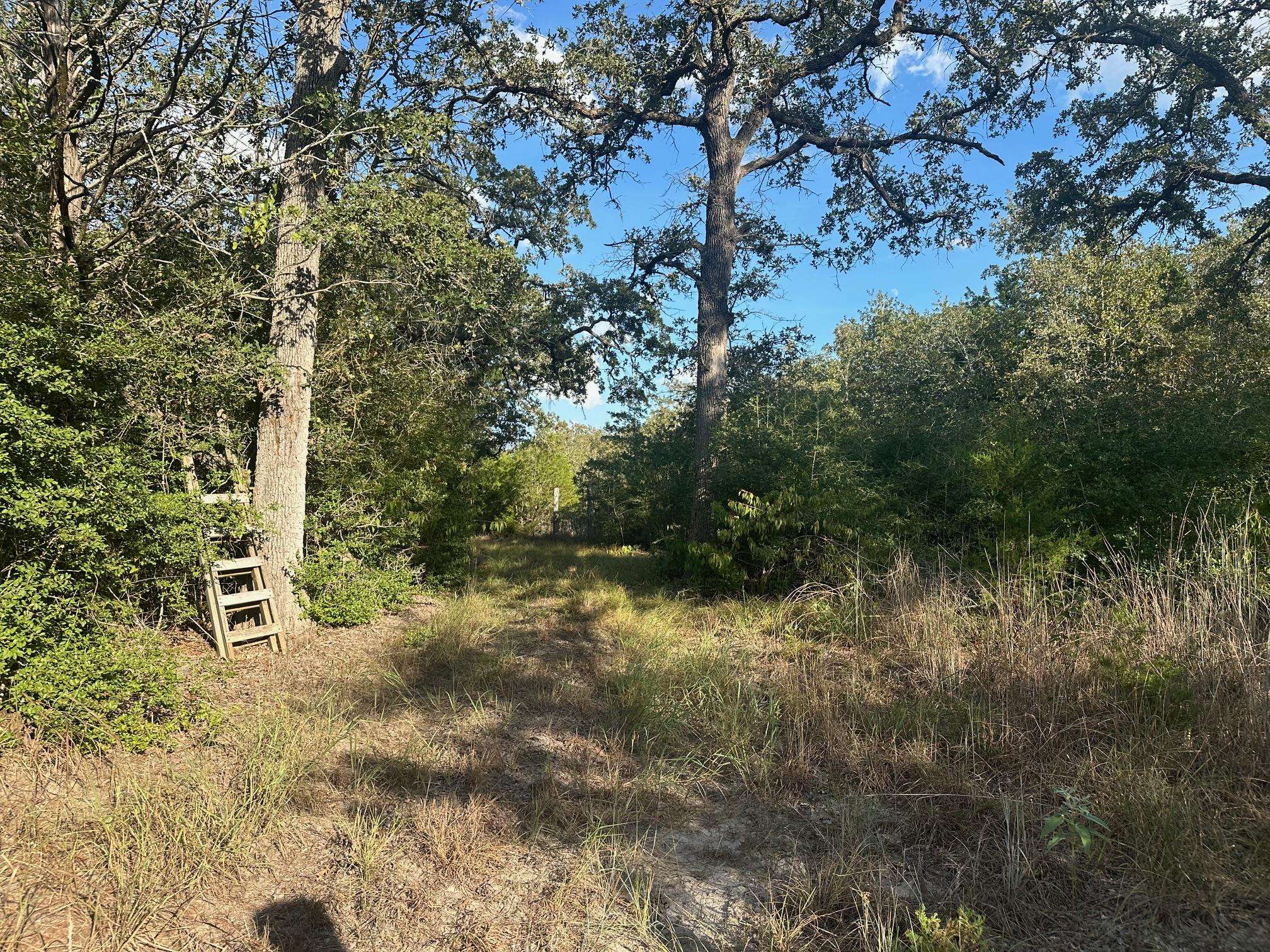 000 Rook RD, West Point, TX 78963