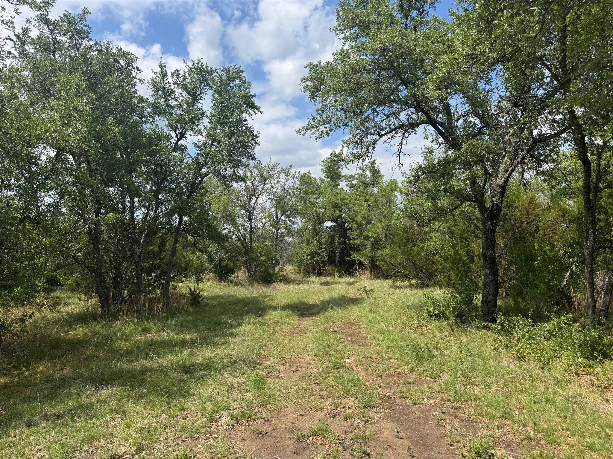 Lot 41 Maverick WAY, Briggs, TX 78608