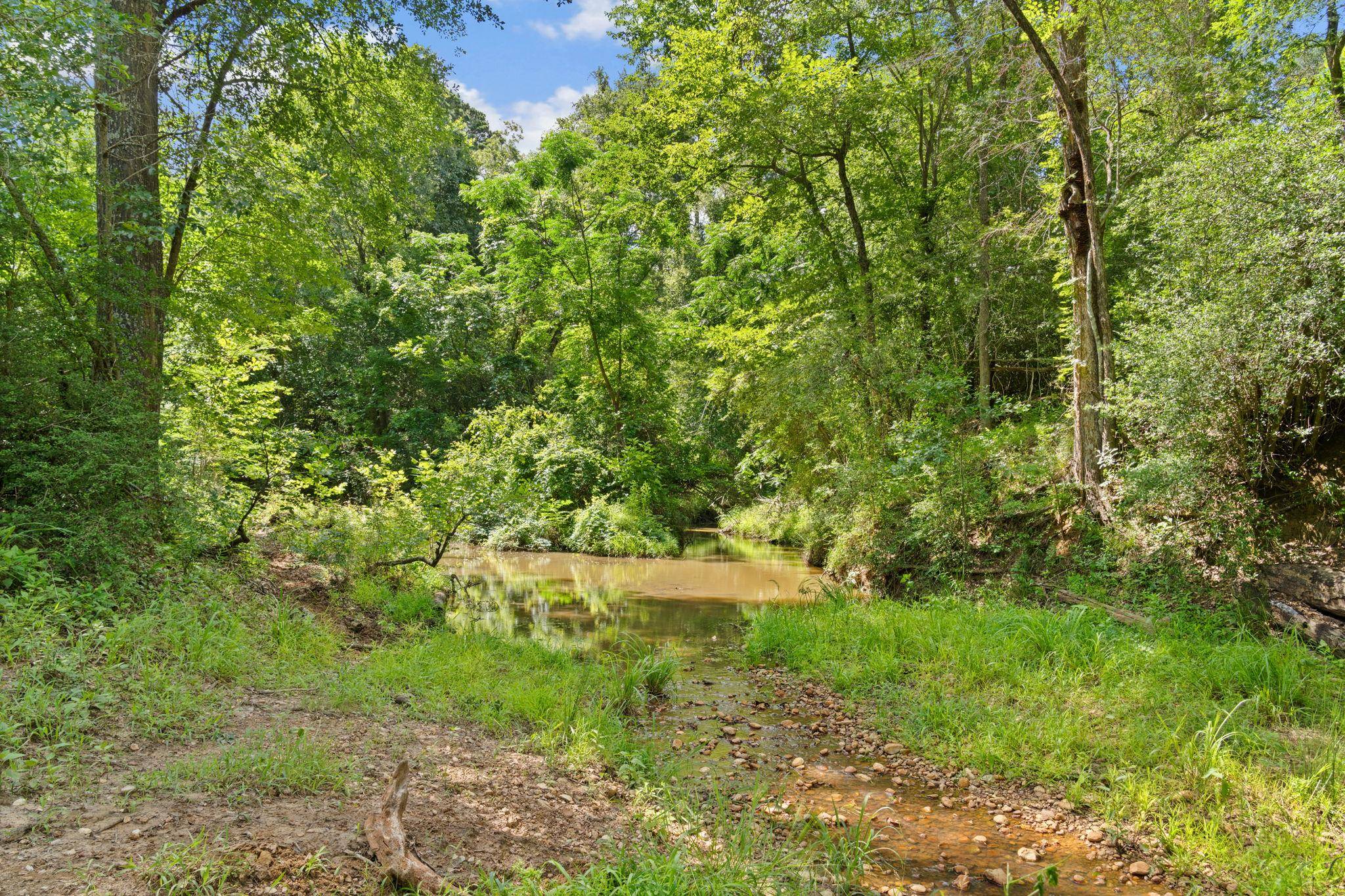 TBD (Tracts 11 & 12) St Delight RD, Paige, TX 78659