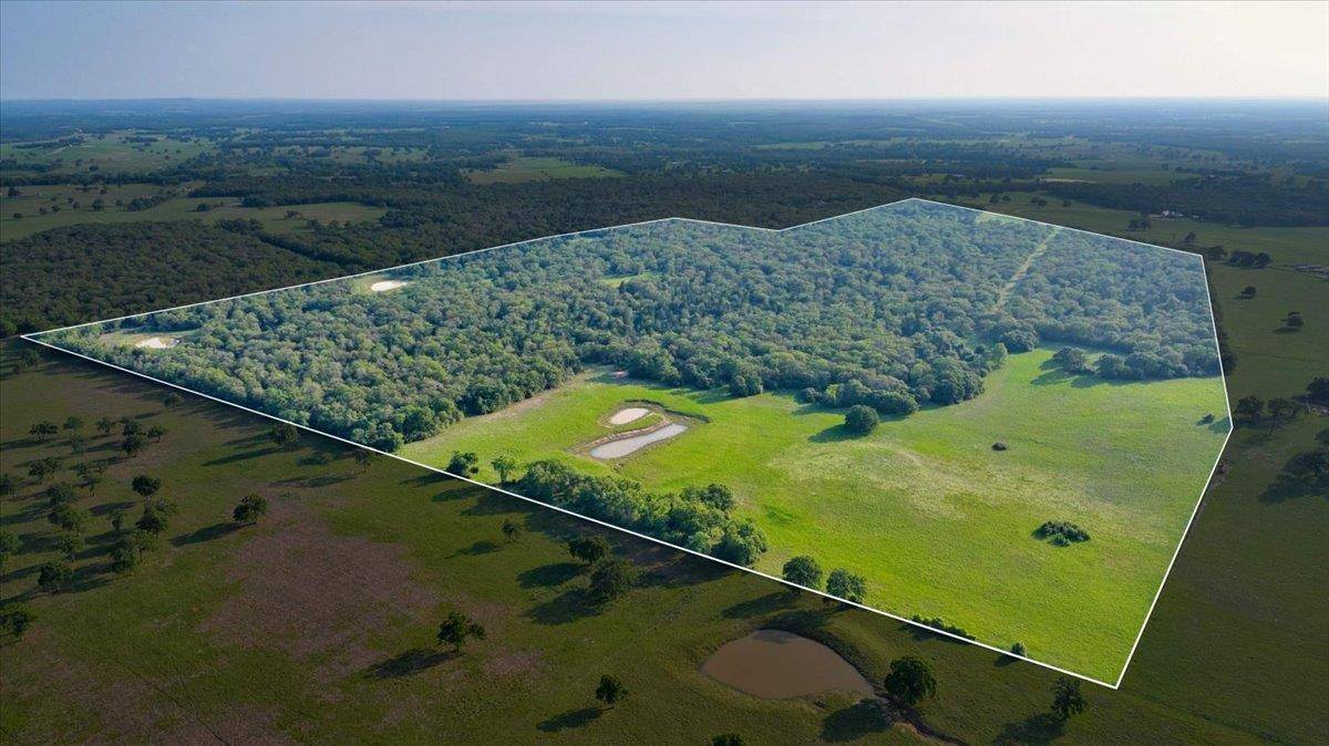 2095 County Road 442, Thrall, TX 76578