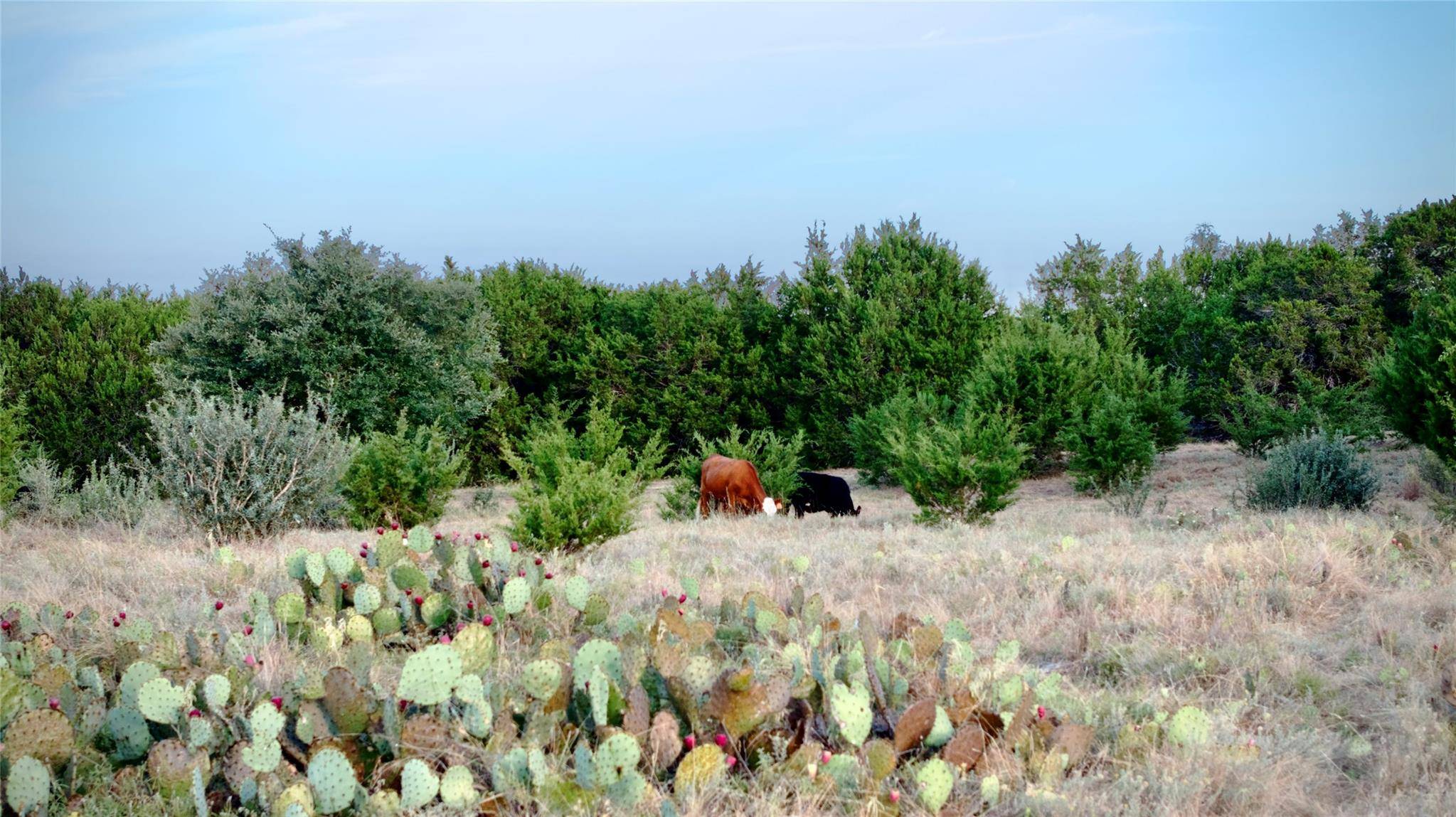 Lot 2A Private Road 1240, Lampasas, TX 76550