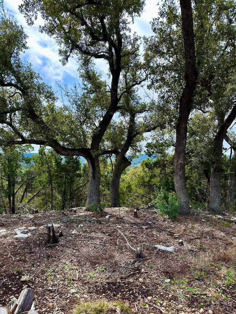 795 Cimarron, Spring Branch, TX 78070
