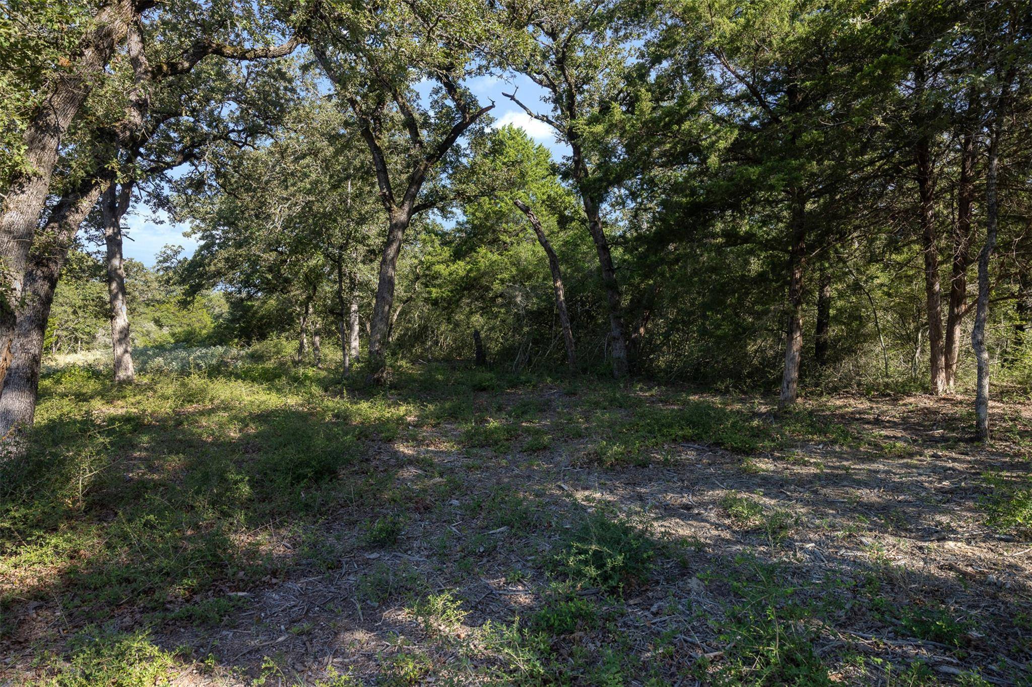 180 Autumn Oak CT, Caldwell, TX 77836