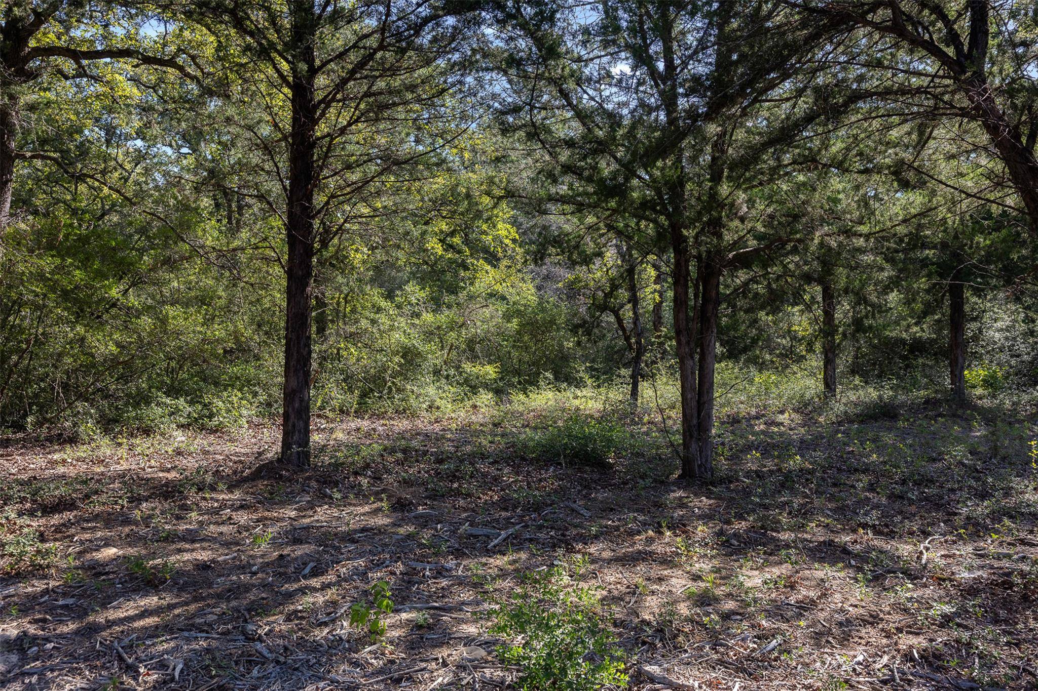 180 Autumn Oak CT, Caldwell, TX 77836