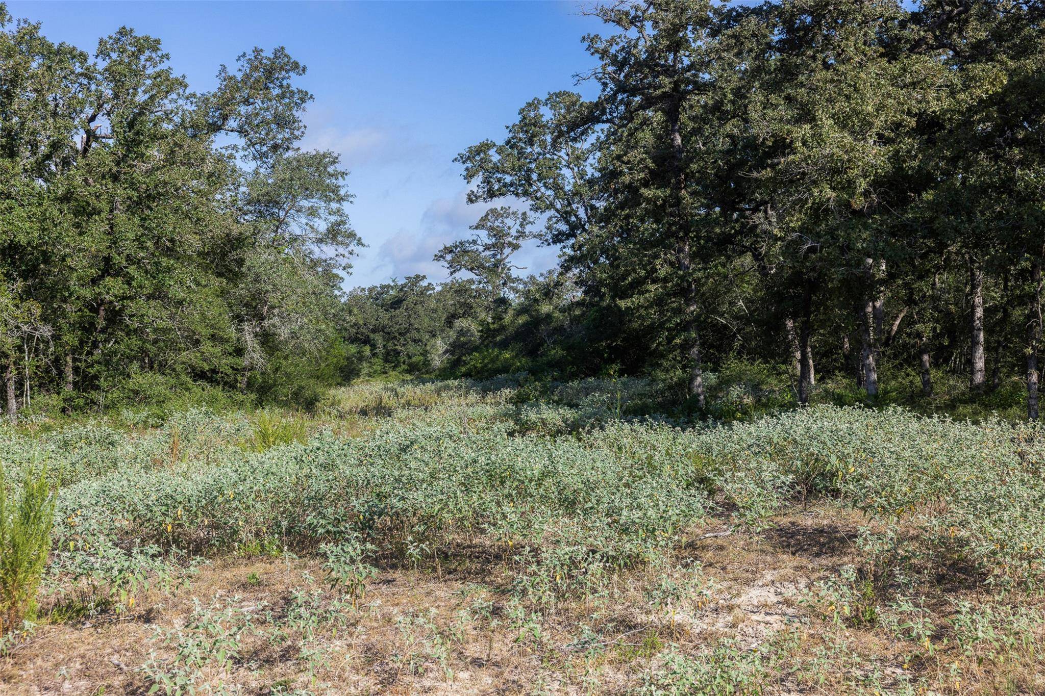 180 Autumn Oak CT, Caldwell, TX 77836