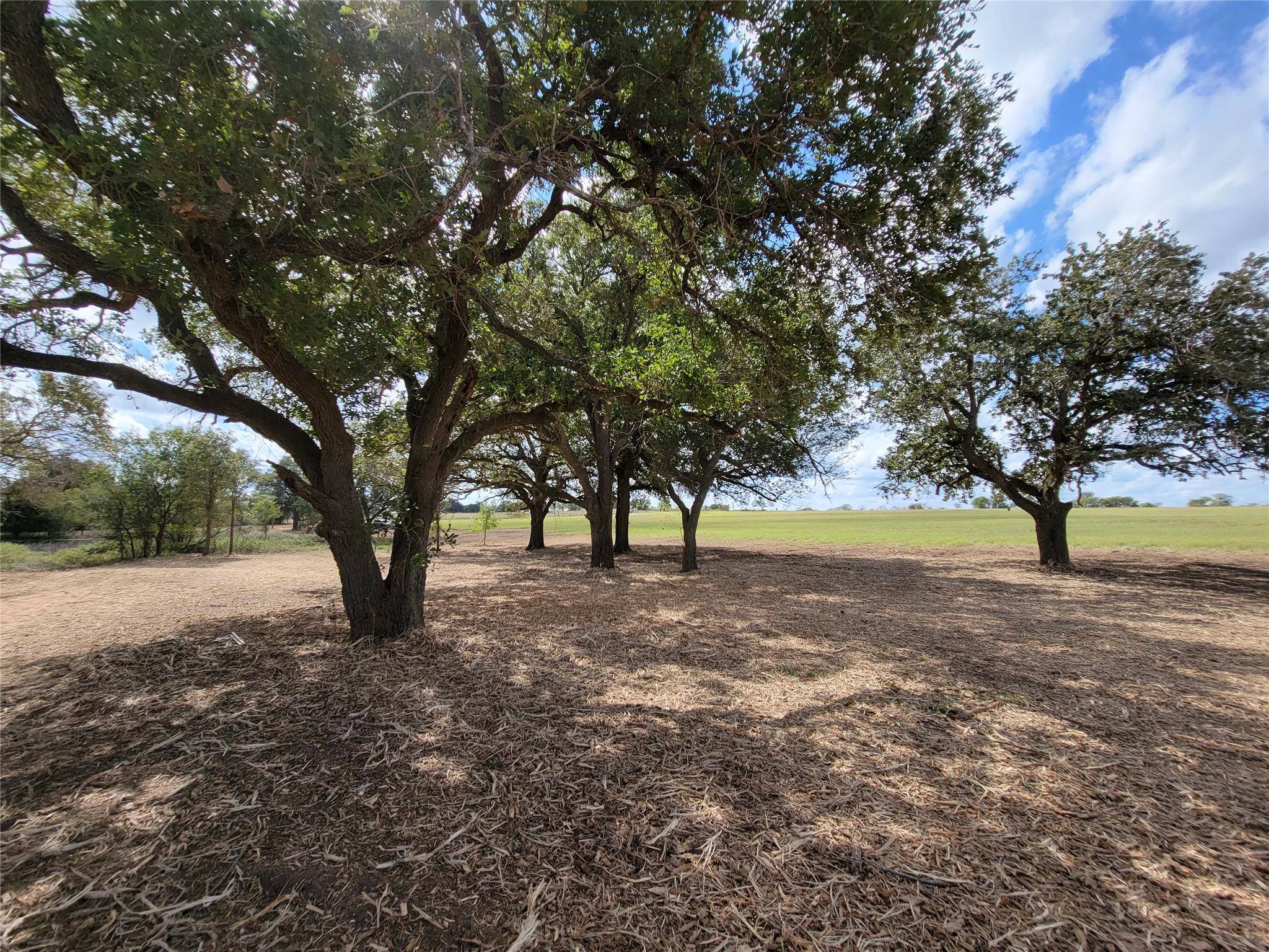 Tract 2 FM 713 HWY, Lockhart, TX 78644