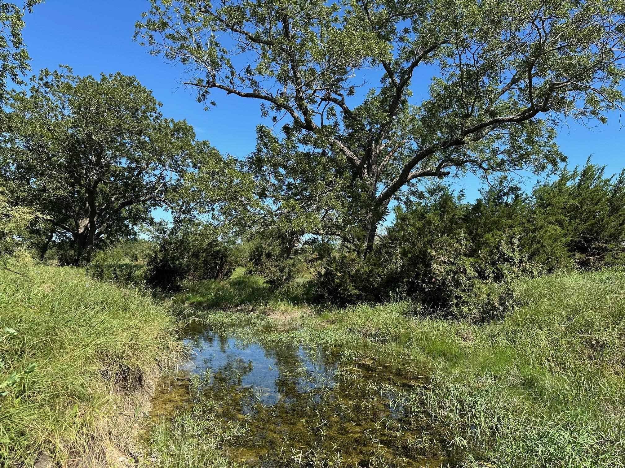 unk County Road 330, Bertram, TX 78605