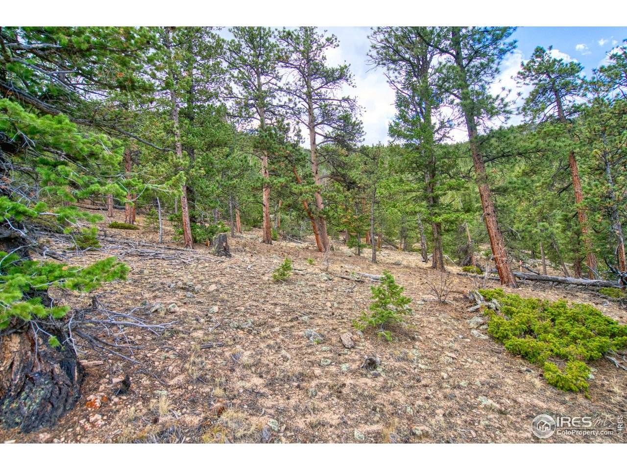 0 Windham, Estes Park, CO 80517