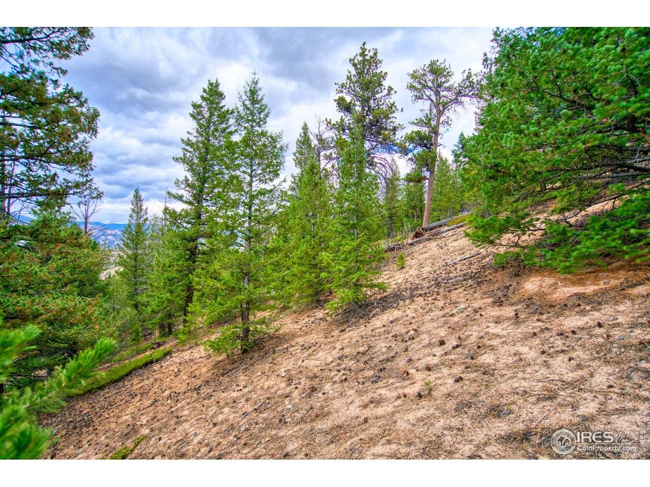 0 Windham, Estes Park, CO 80517