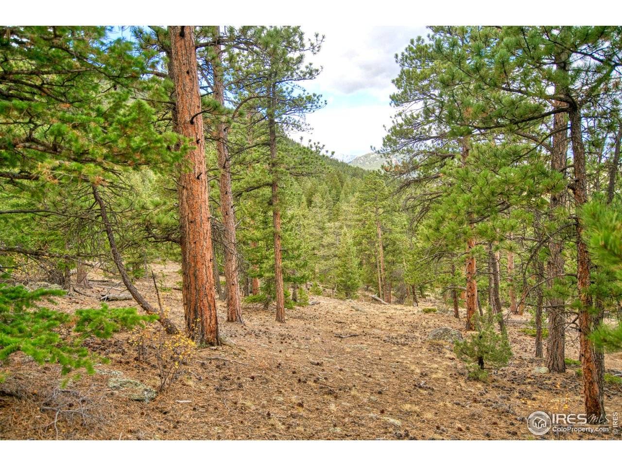 0 Windham, Estes Park, CO 80517