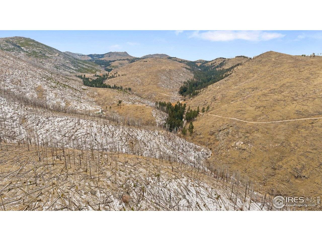 685 La Escena, Bellvue, CO 80512