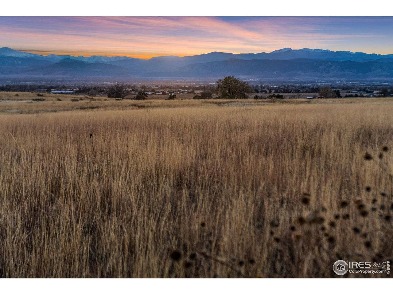 7923 County Road 84, Fort Collins, CO 80524