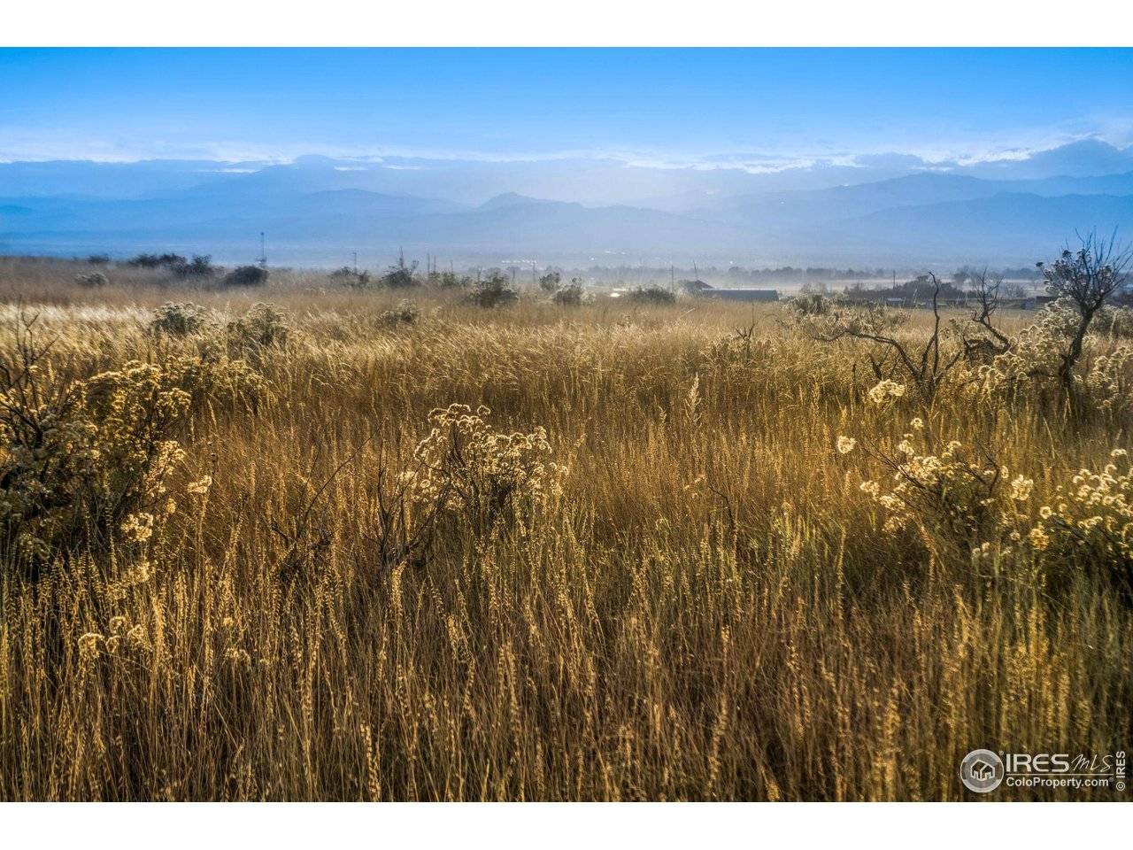 7895 County Road 84, Fort Collins, CO 80524