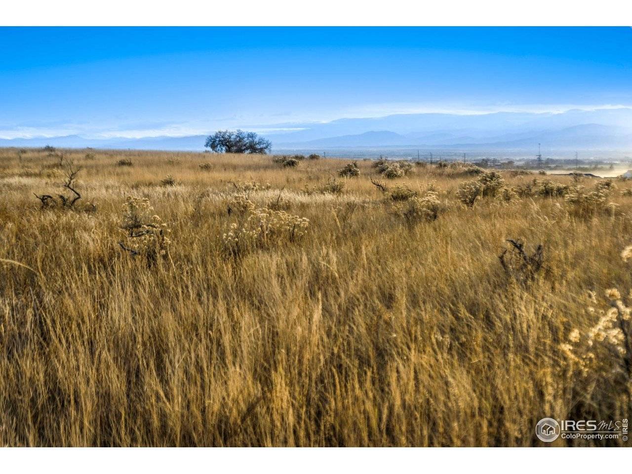 7895 County Road 84, Fort Collins, CO 80524