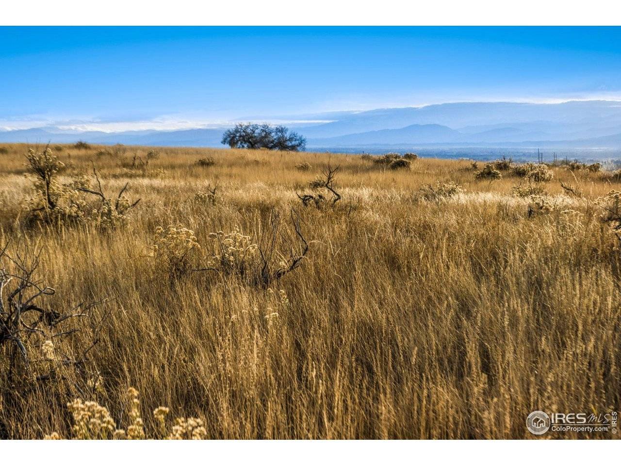 7913 County Road 84, Fort Collins, CO 80524