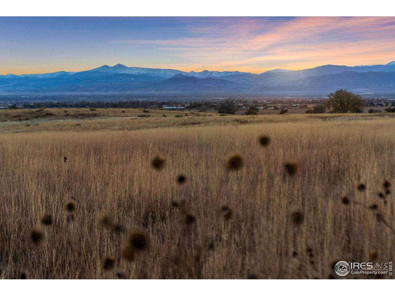 7913 County Road 84, Fort Collins, CO 80524