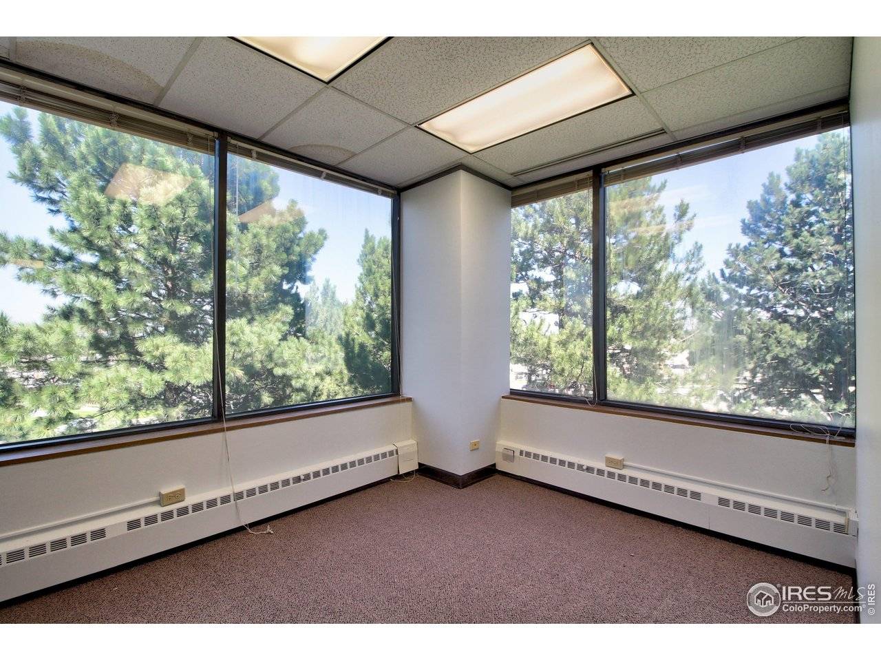 9035 Wadsworth, Westminster, CO 80021