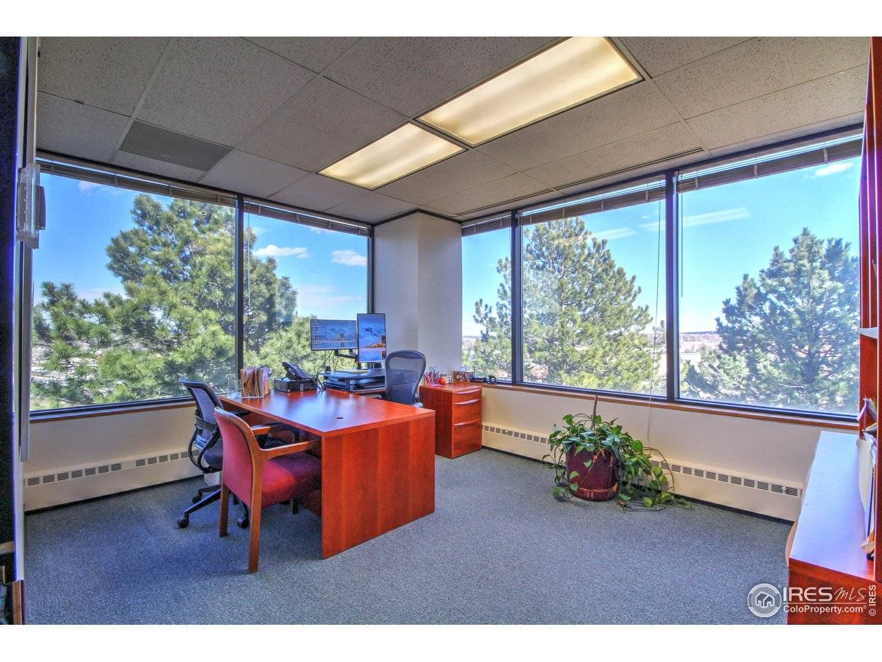 9035 Wadsworth, Westminster, CO 80021