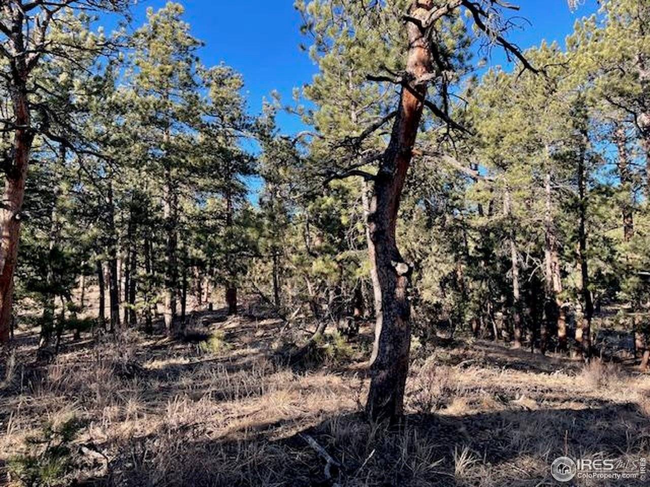 0 Pine, Lyons, CO 80540