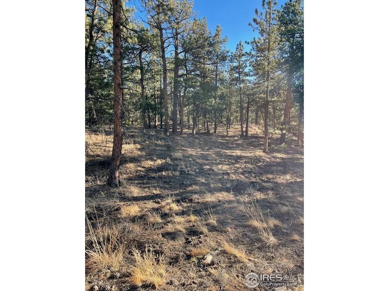 0 Pine, Lyons, CO 80540