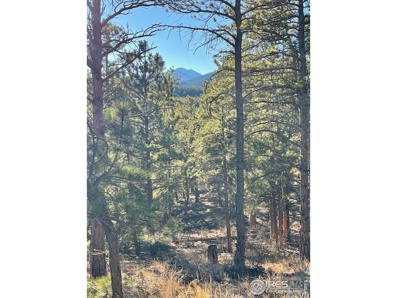 0 Pine, Lyons, CO 80540