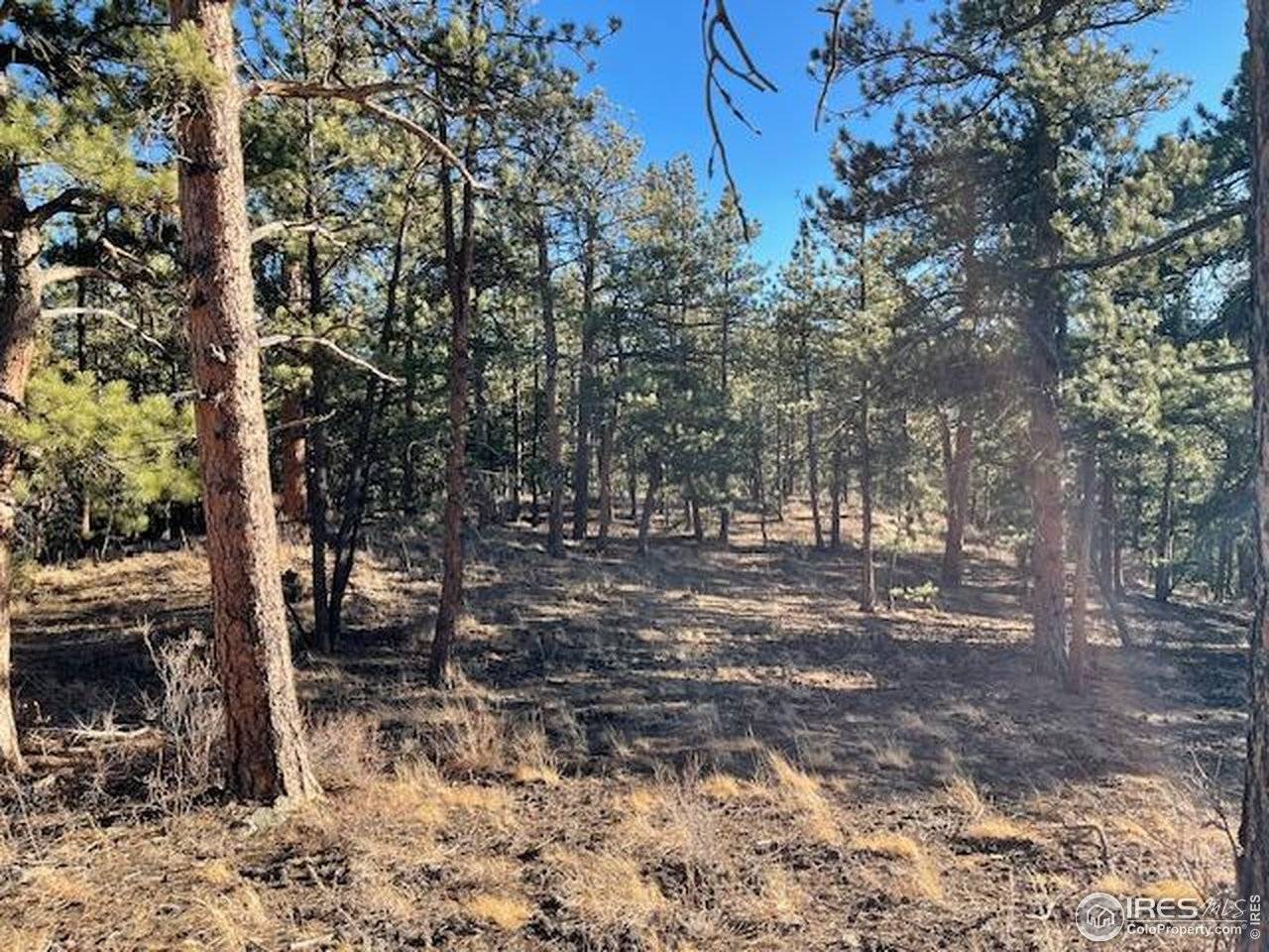 0 Pine, Lyons, CO 80540