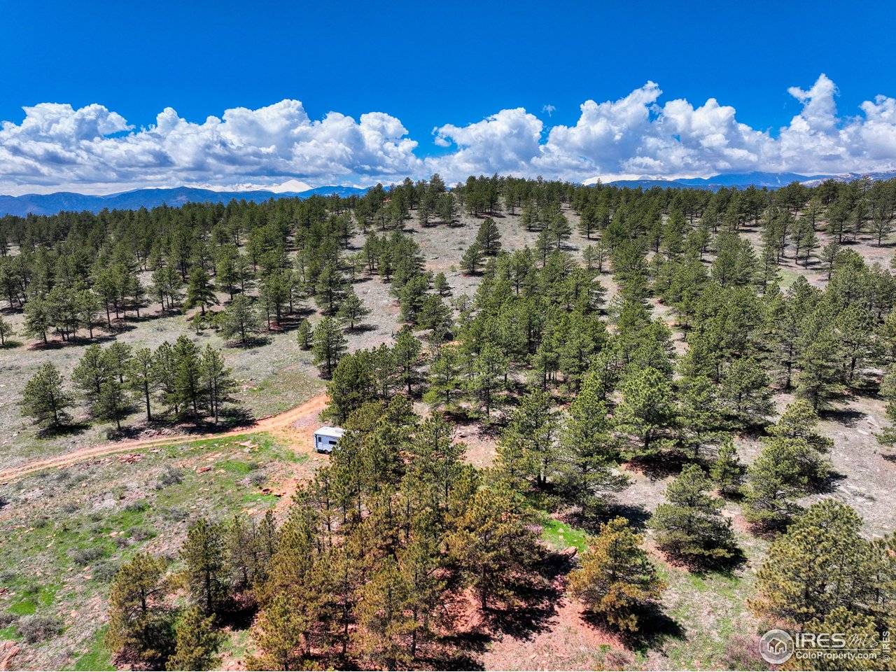 101 Lewis, Lyons, CO 80540