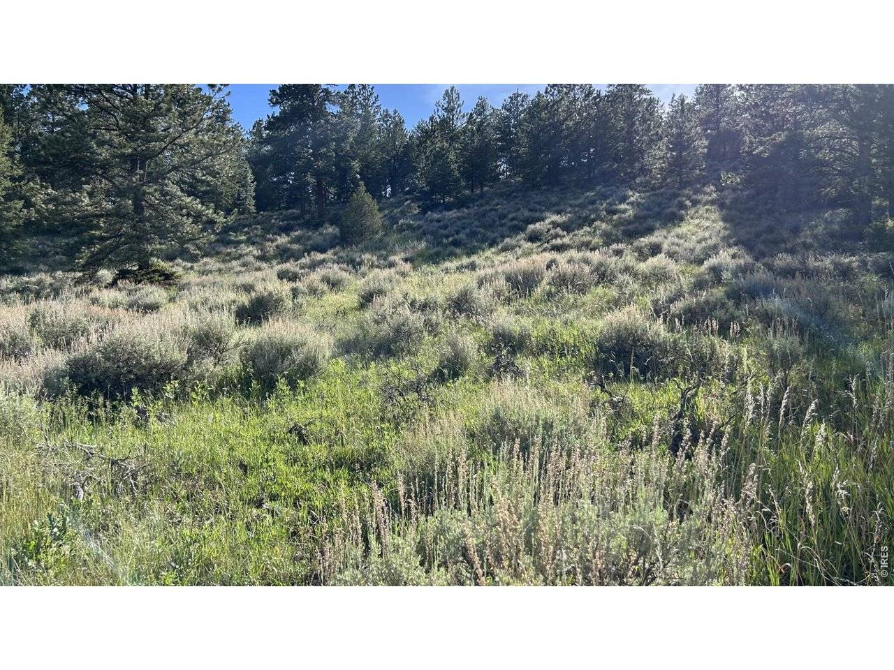 416 Comanche, Red Feather Lakes, CO 80545