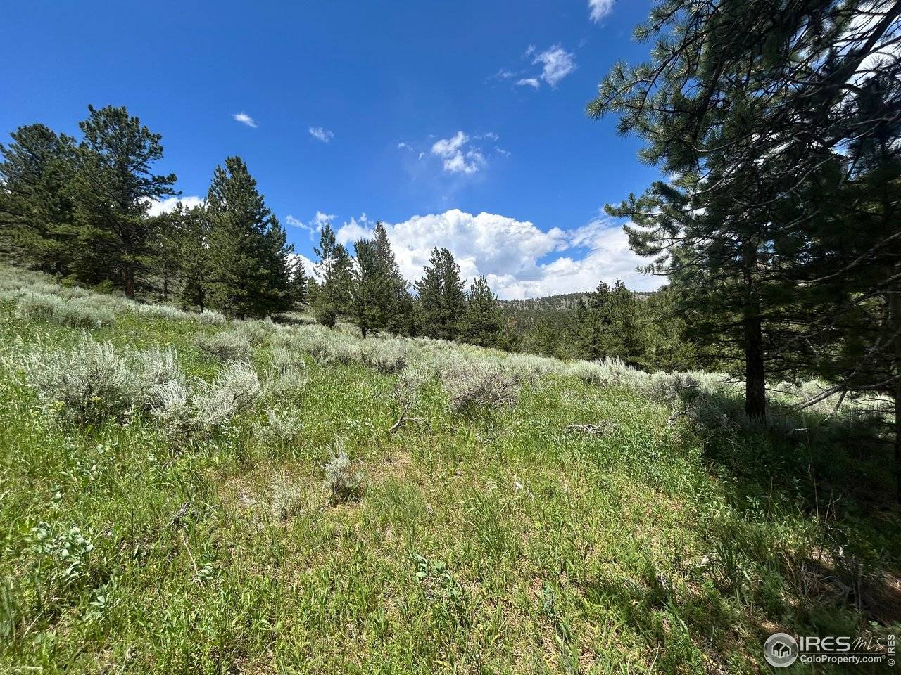 416 Comanche, Red Feather Lakes, CO 80545